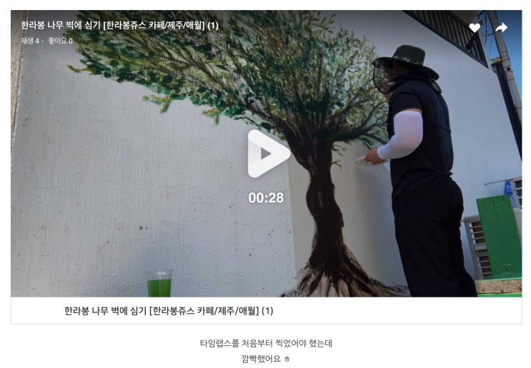 내가 그린 한라봉 그림 앞에 한라봉 나무 한 그루
