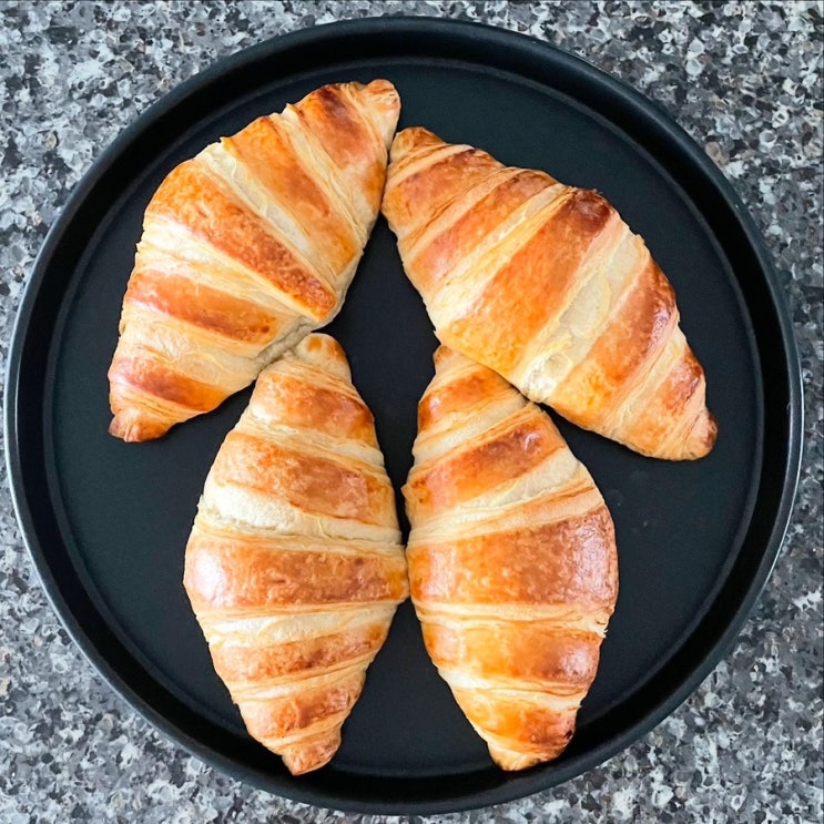  대평 야생홍차&크로와상