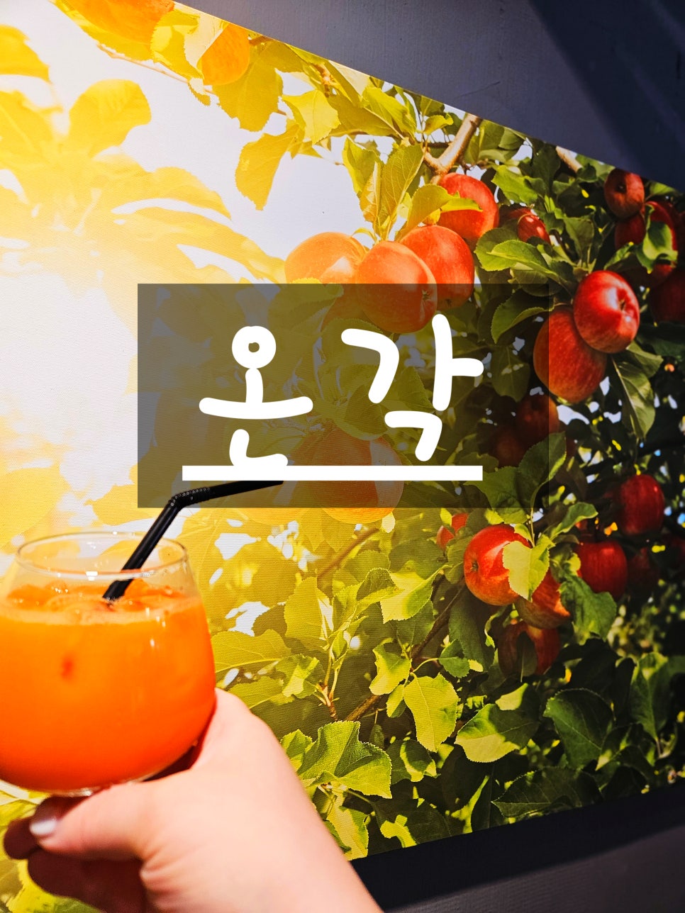 온각 사진 1