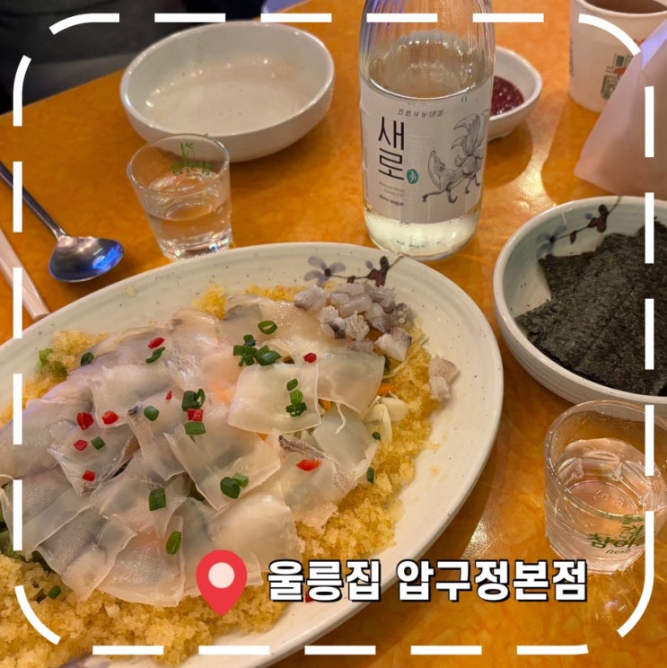  [압구정로데오횟집] 야장 분위기 신선한 오징어회 맛집- '울릉집 압구정본점'