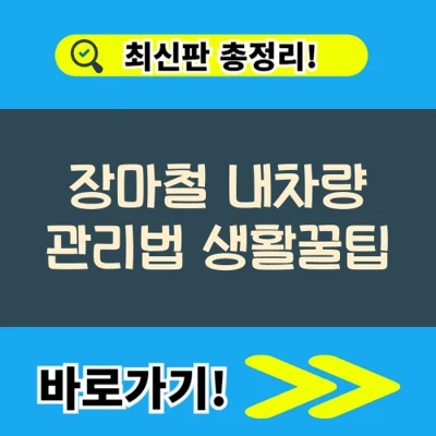  장마철 내차량 안전하게 관리 점검방법 총정리