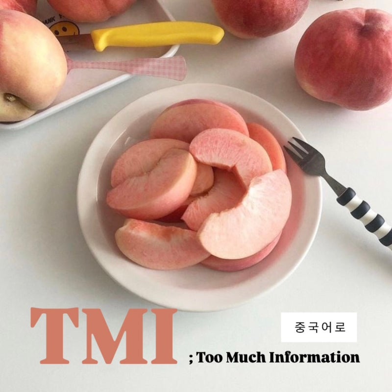 Too Much Information ️ : tmi 중국어로 (+ tmi 뜻 / 바이두 사전 번역)