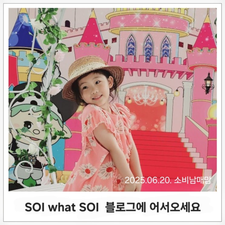  SOI what SOI 블로그에 오신 걸 환영합니다.