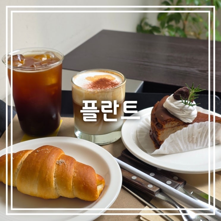  대구 대명동 카페] 플란트 || 분위기 좋은 대구 앞산 카페 추천