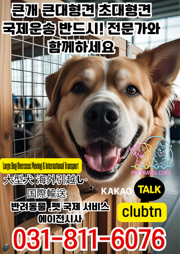 대형견 해외출국·국제항공 운송 | Large Dog International Departure & Air Cargo