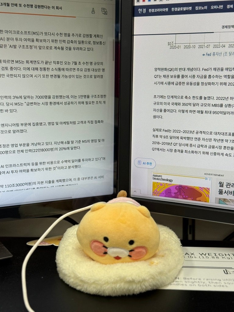눈 보호 사무직 직장인 꿀템 거치식 프라이버시 모니터 필름 추천