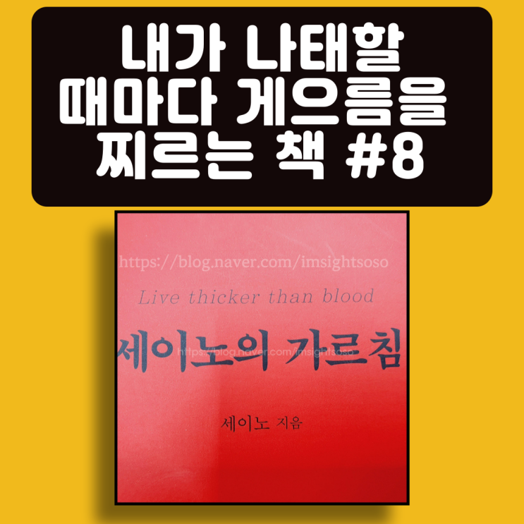  세이노의 가르침, 세이노, 게으름 극복 필독서, 자기계발 책추천: 내가 나태할 때마다, 게으름을 찌르는 책 #8