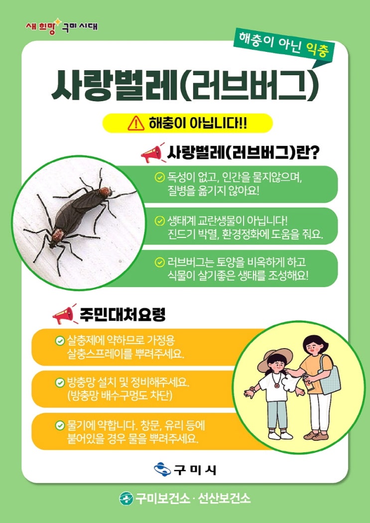 서울시, (러브버그)동양하루살이·<b>러브버그</b> '<b>친환경 방제</b>' 착수