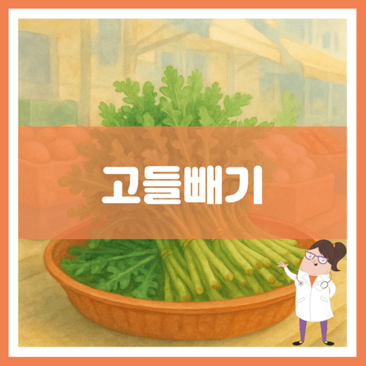  고들빼기 효능 부작용 고르는 방법