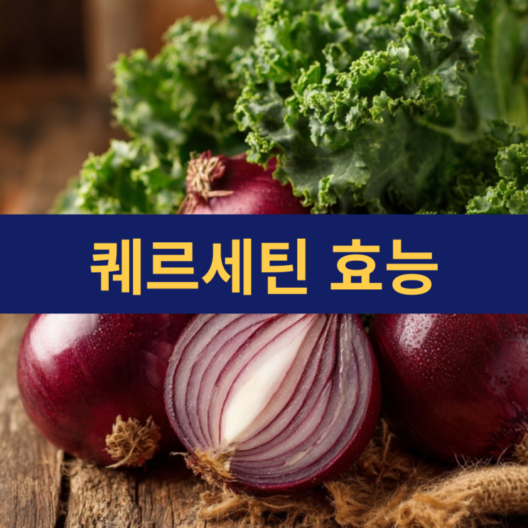  퀘르세틴 효능 | 적양파 효능 | 퀘르세틴이 풍부한 음식 | 항산화 식품