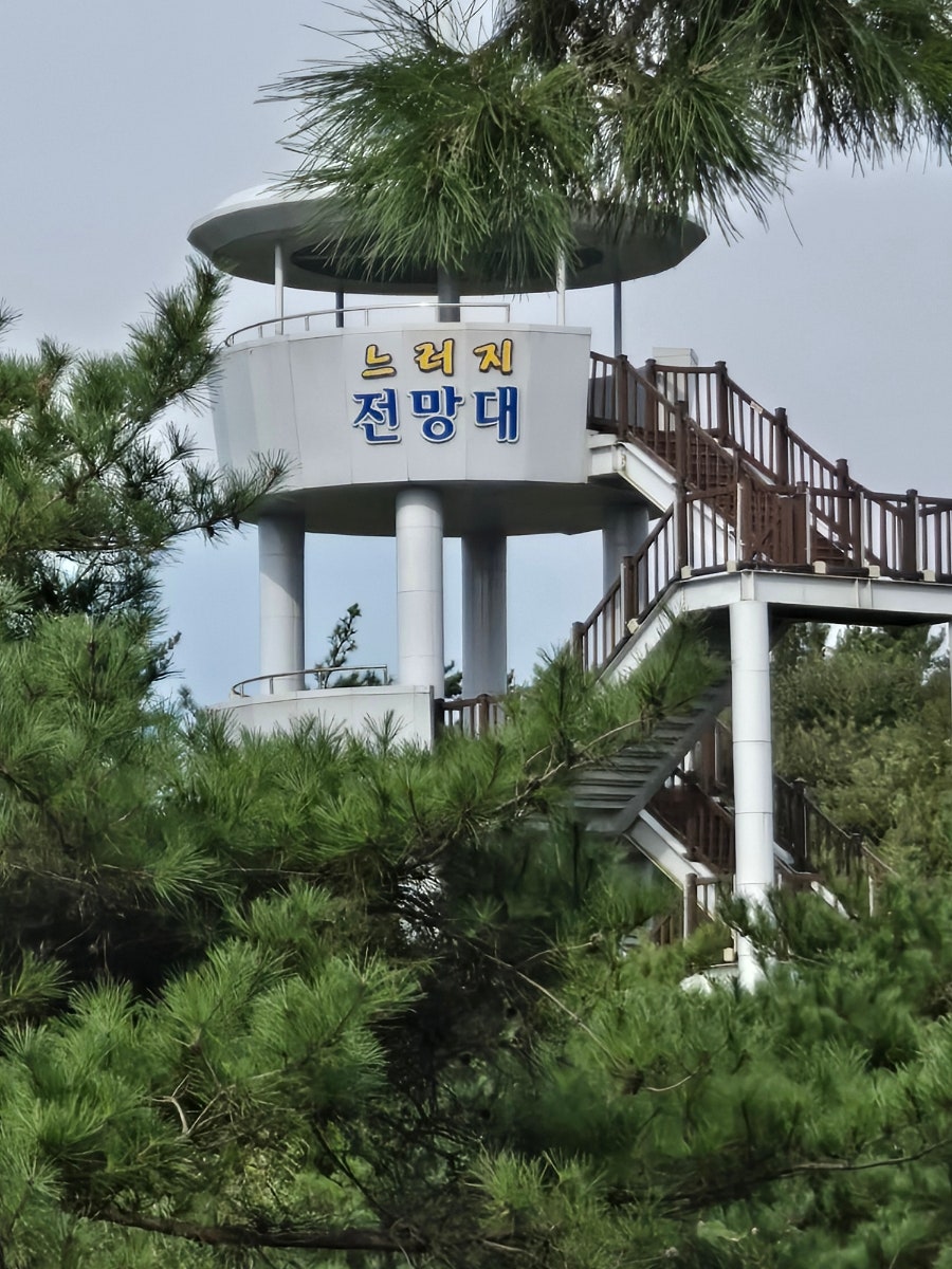 평화식당 사진 4