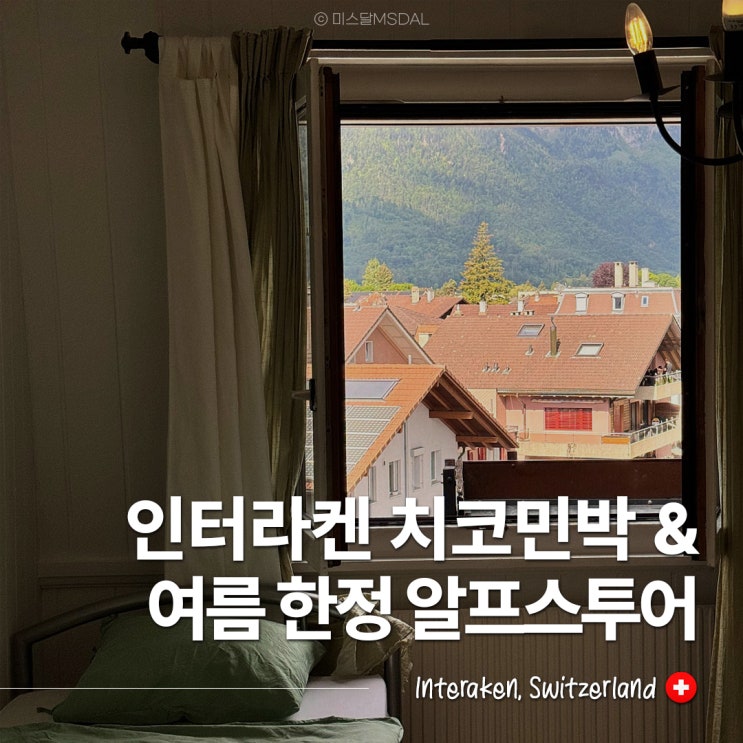  인터라켄 가성비 숙소 추천 :: 서역 앞 치코민박 & 여름한정 알프스투어