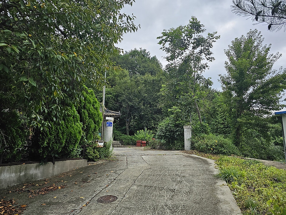 학조산 사진 1