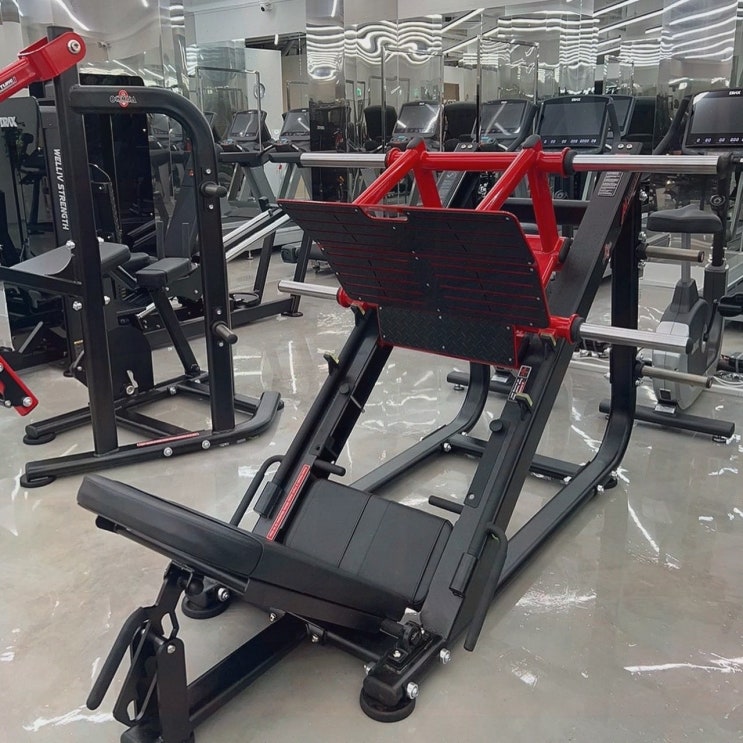  가성비 좋은 PT로 체력을 다지는 방법, 독산동 PT 바디다짐