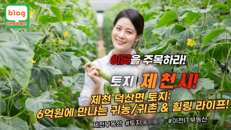   제천 덕산면 성암리, 귀농/귀촌 & 힐링 라이프를 위한 최적의 토지! 6억원 