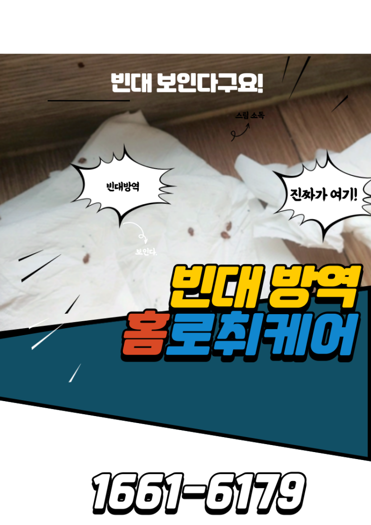 빈대방역 업체 찾으시나요? 빈대박멸은 이렇게 합니다.
