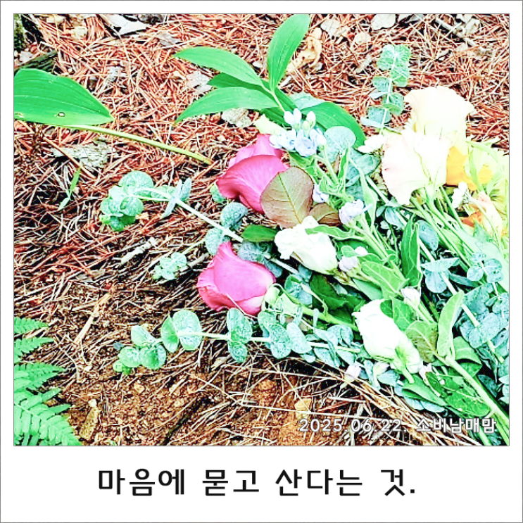  엄마의 4주기, 슬픔이 가시질 않더라