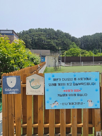 사진 3