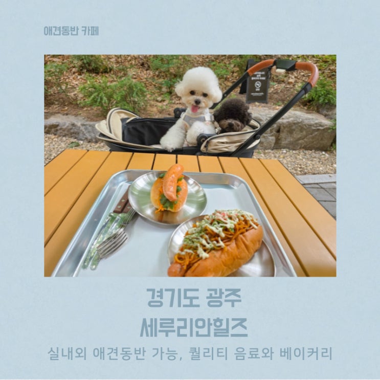  경기도 광주 애견동반 가능한 베이커리 카페 세루리안힐즈