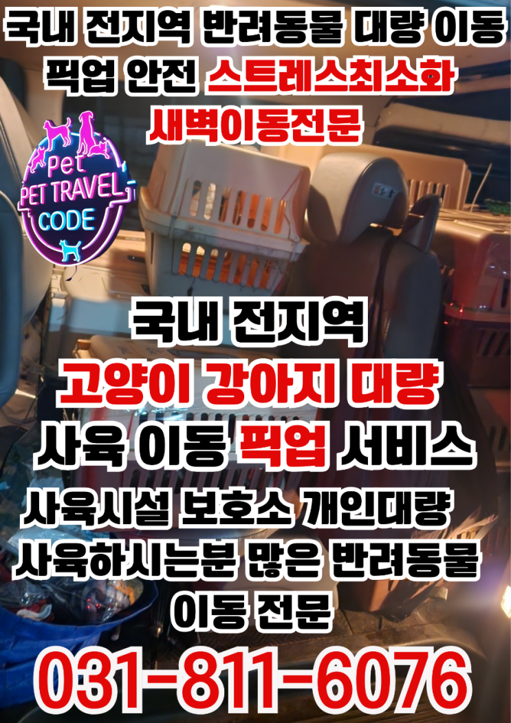  전국 반려동물 강아지 고양이  대량 이사·구조·운송,새벽 안전 픽업  이동 서비스