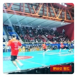 일본을 다시 꺾은 한국 <b>핸드볼</b>! 11승 1무 2패 압도적 전적... 