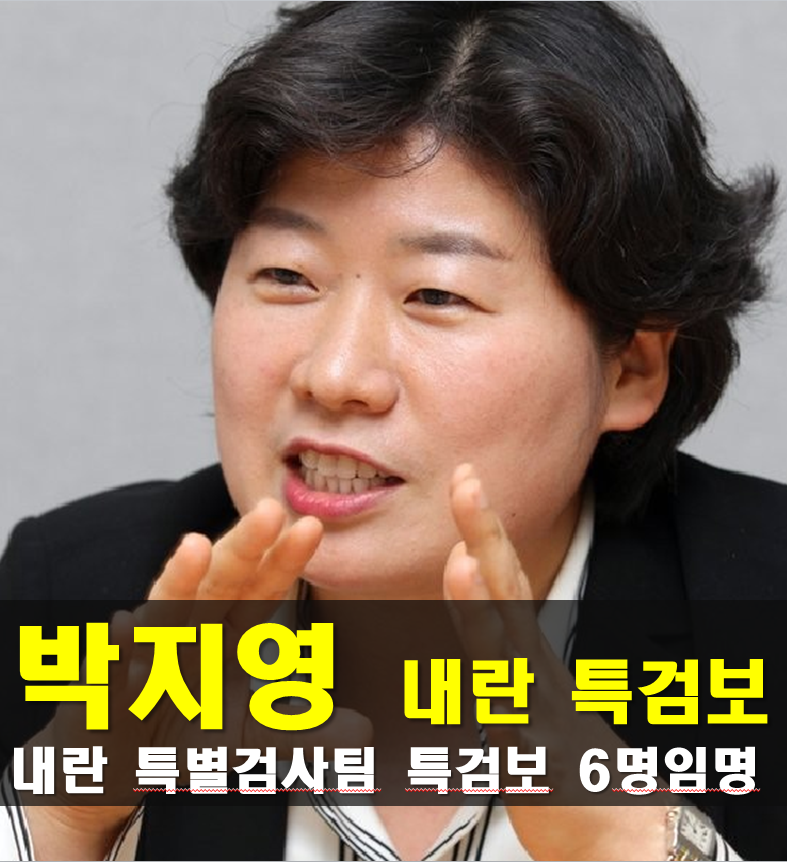 박지영 특검보 프로필,나이 고향 학력 경력 성향, 내란특검, 법무법인 태평양 소속 변호사