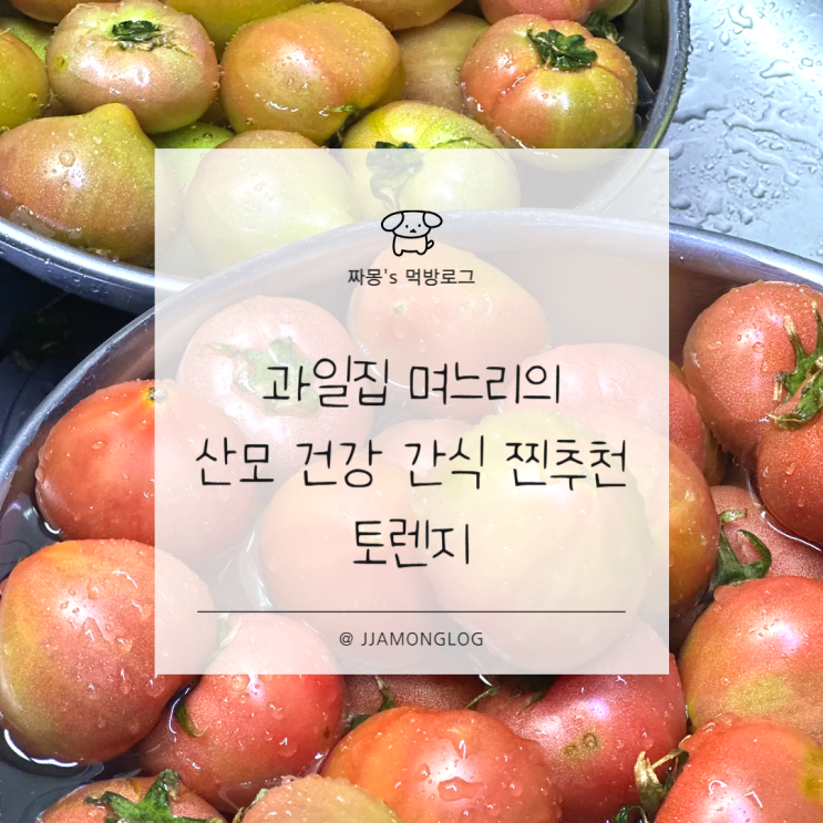  [다이어트 음식] 달콤 상큼! 과일처럼 즐기는 건강한 간식 토렌지 토마토 후기