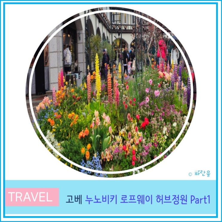  고베 당일치기 관광 여행 누노비키 로프웨이 허브정원 방문기 Part 1