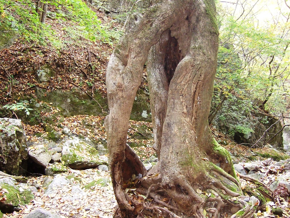 사창골 사진 2