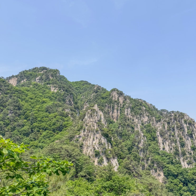  출렁다리부터 병풍바위까지! 100대 명산 운악산 산행기