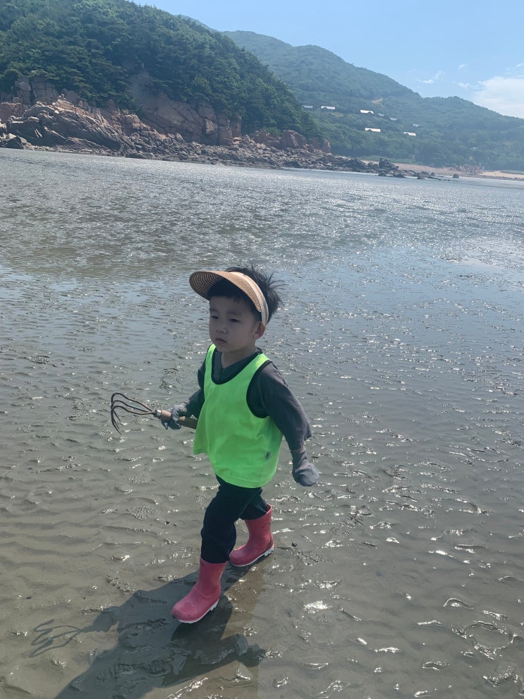 찐 야외놀이터 발견, 서울근교 갯벌체험 대부도말고 여기!