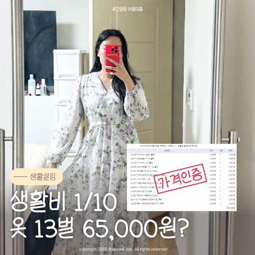  내가 펑펑쓰고도 1억모으는법 생활비 10분의 1로 아끼는 옷사는법 도매몰 일반인도 구매 가능하다고?정답은 이노빌