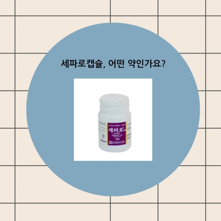 세파로캡슐 항생제 성분 효능 부작용 주의사항