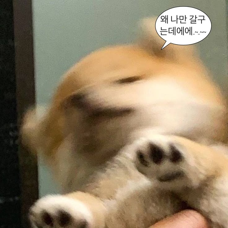  아가씨! 이것만 꼭 기억하세요 중드 여주인공 빙의 생존법 2탄