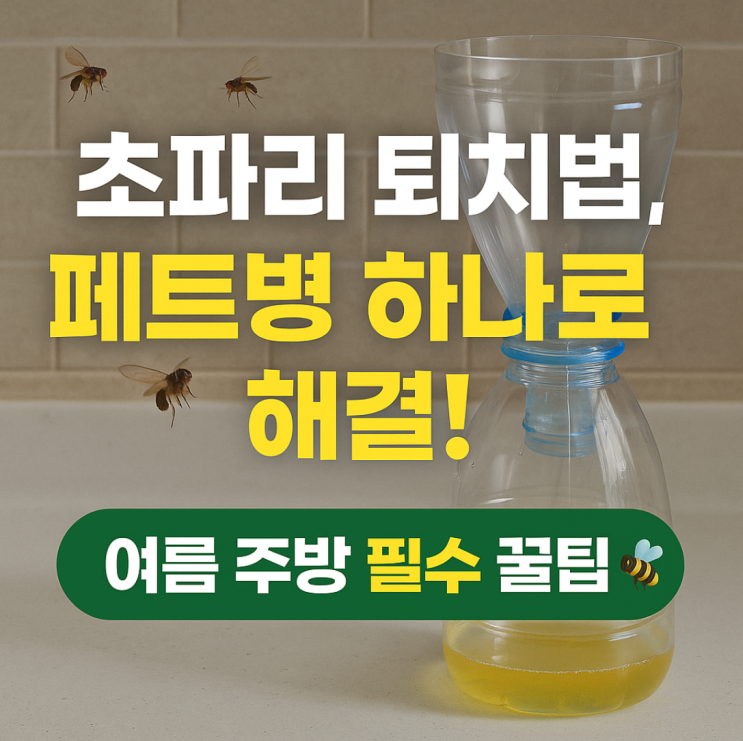  초파리 퇴치법, 페트병 하나로 해결!｜여름 주방 필수 꿀팁”
