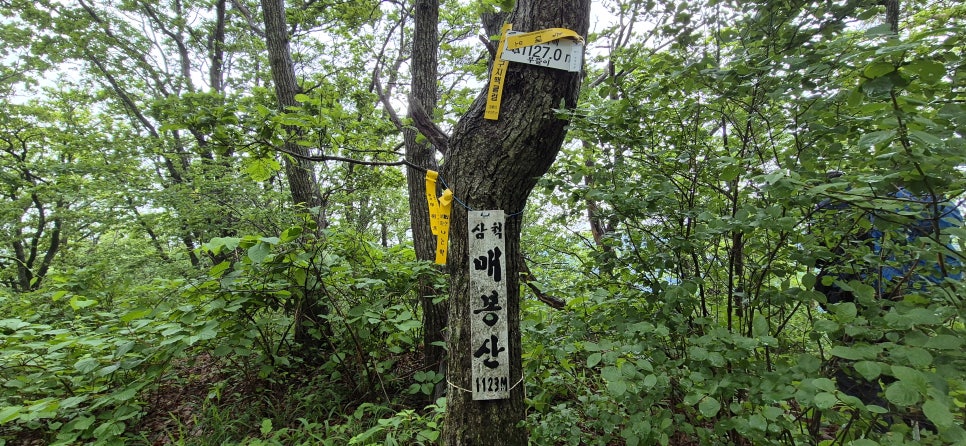 내봉산 사진 4