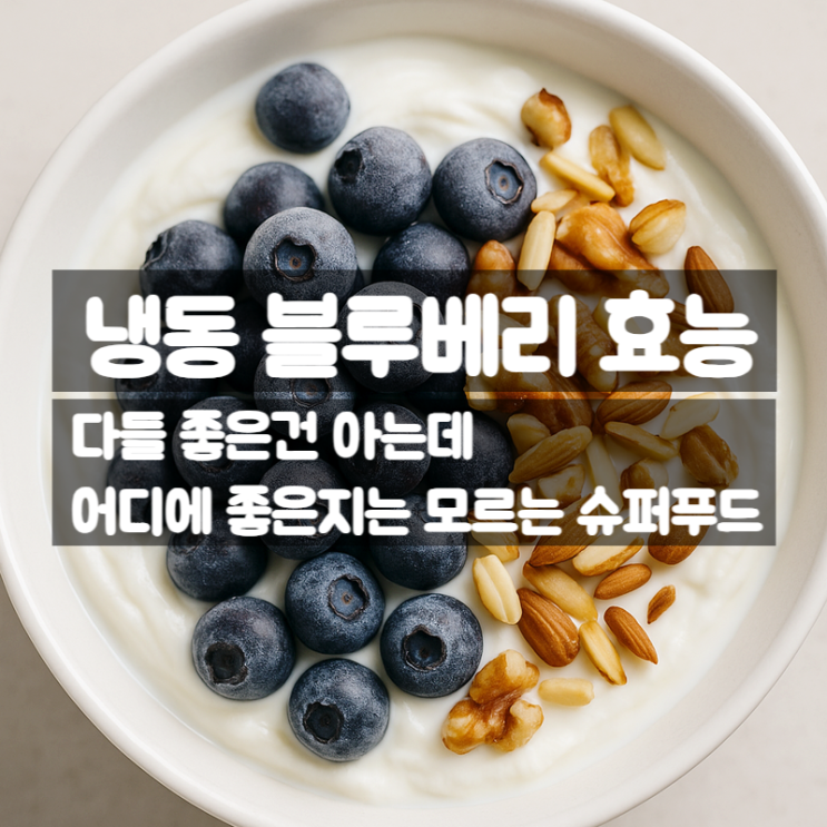  냉동 블루베리 효능 성분 먹는법 총정리 – 왜 슈퍼푸드일까?