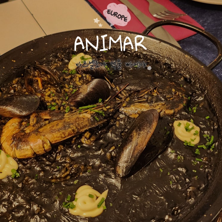 스페인 바르셀로나 Animar | 뽈뽀 먹물 빠에야