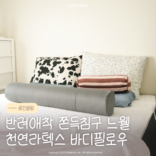  여름냉감바디필로우로 변신도 가능한 천연라텍스 바디필로우 느웰 우리집 반려 꿀잠침구