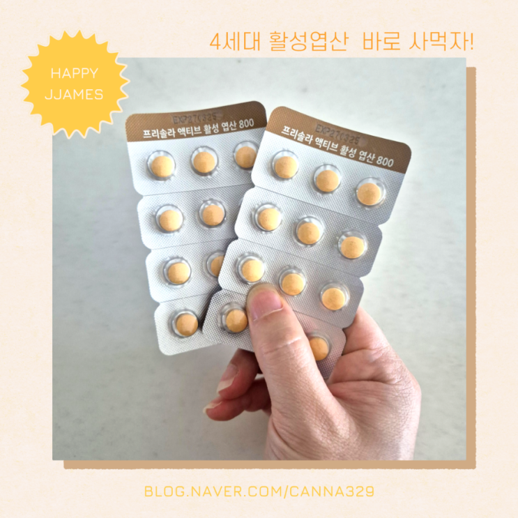 활성엽산 800 프리솔라 내돈내산 후기