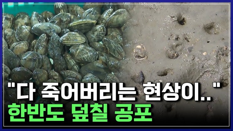 "다 죽어버리는 현상이.." 한반도 덮칠 공포 "다 죽어버리는 현상이.." 한반도 덮칠 공포