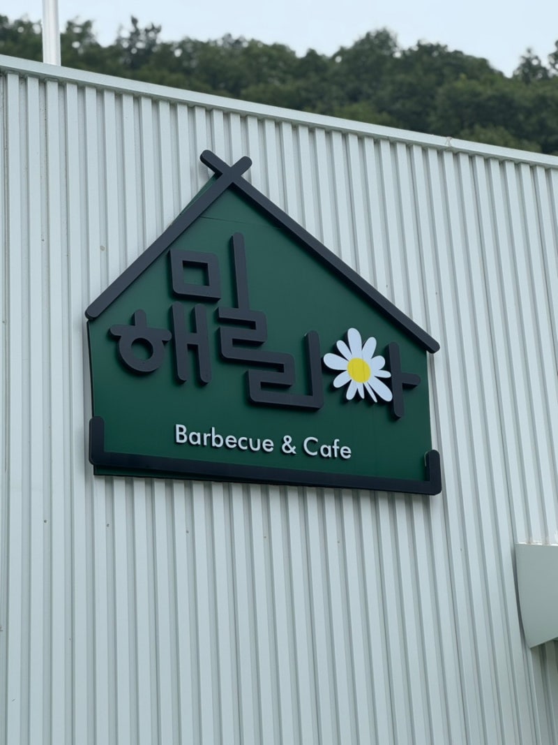 사진 5