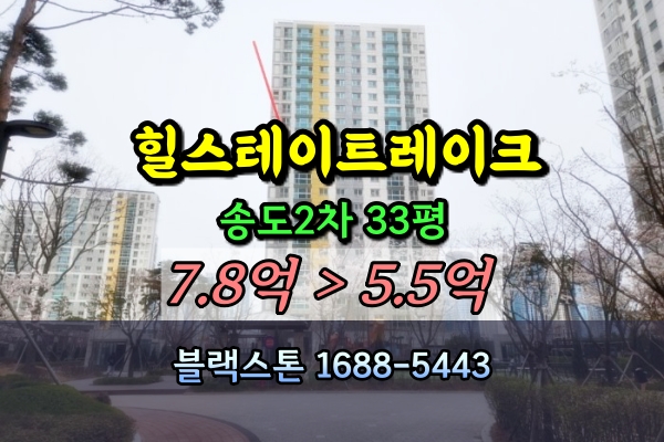  힐스테이트레이크 송도2차 경매 33평 [2024타경519154]