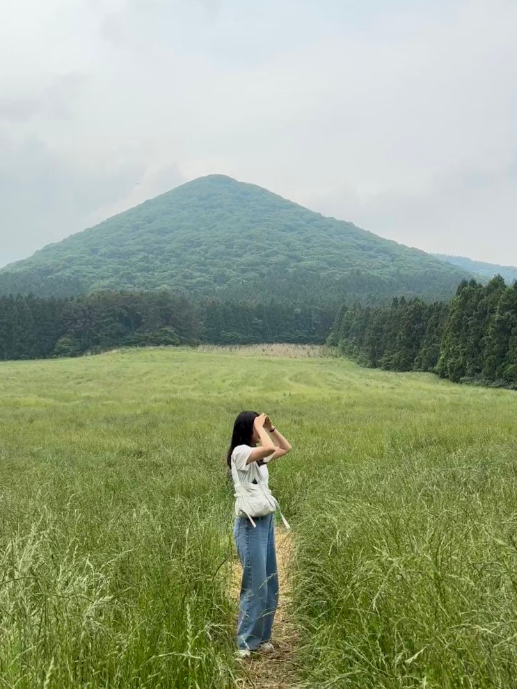  제주서쪽오름추천 궷물오름:) 소요시간, 포토존, 주차장, 힐링되는 코스 후기