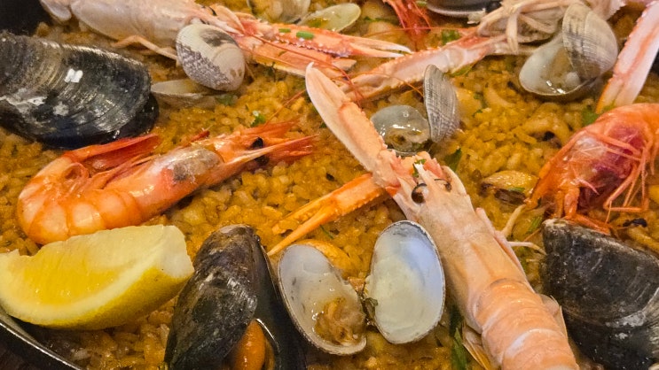  [바르셀로나] Restaurant Casa Delfín - 고대 문화 유적지 광장 바로 앞에 있는 가격 좋은 작은 스페인 레스토랑
