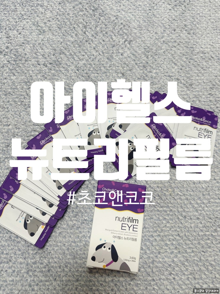 아이헬스뉴트리필름 초코앤코코 강아지눈영양제 후기 feat 퐁이먹방