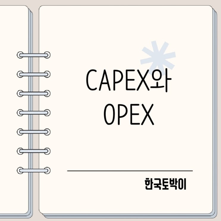  CAPEX OPEX DEVEX 뜻 약어