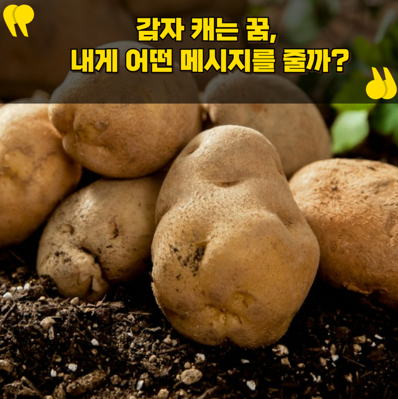 감자 캐는 꿈, 내게 어떤 메시지를 줄까?