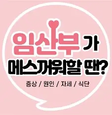 임신 초기의 메스꺼움과 구토