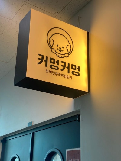 사진 2